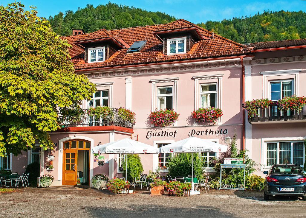 尼德豪斯 － 皮尔斯豪德酒店 Sankt Aegyd am Neuwalde 外观 照片